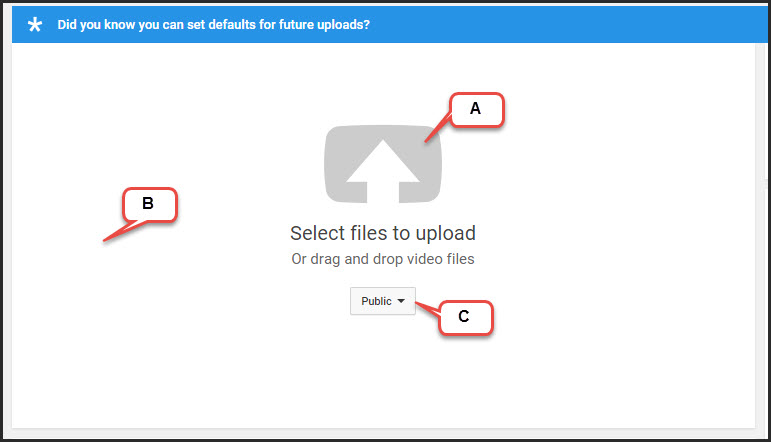 Youtube file upload sections.jpg
