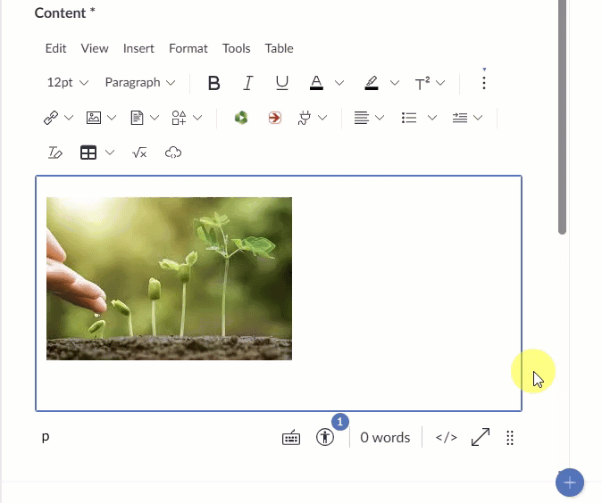 shows user clicking image in RCE and selecting image options